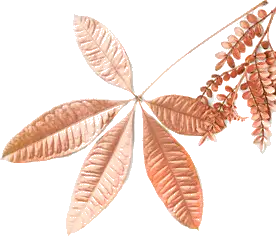 Decorative Floral Element