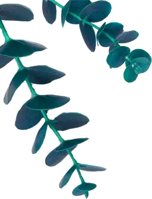 Decorative Floral Element