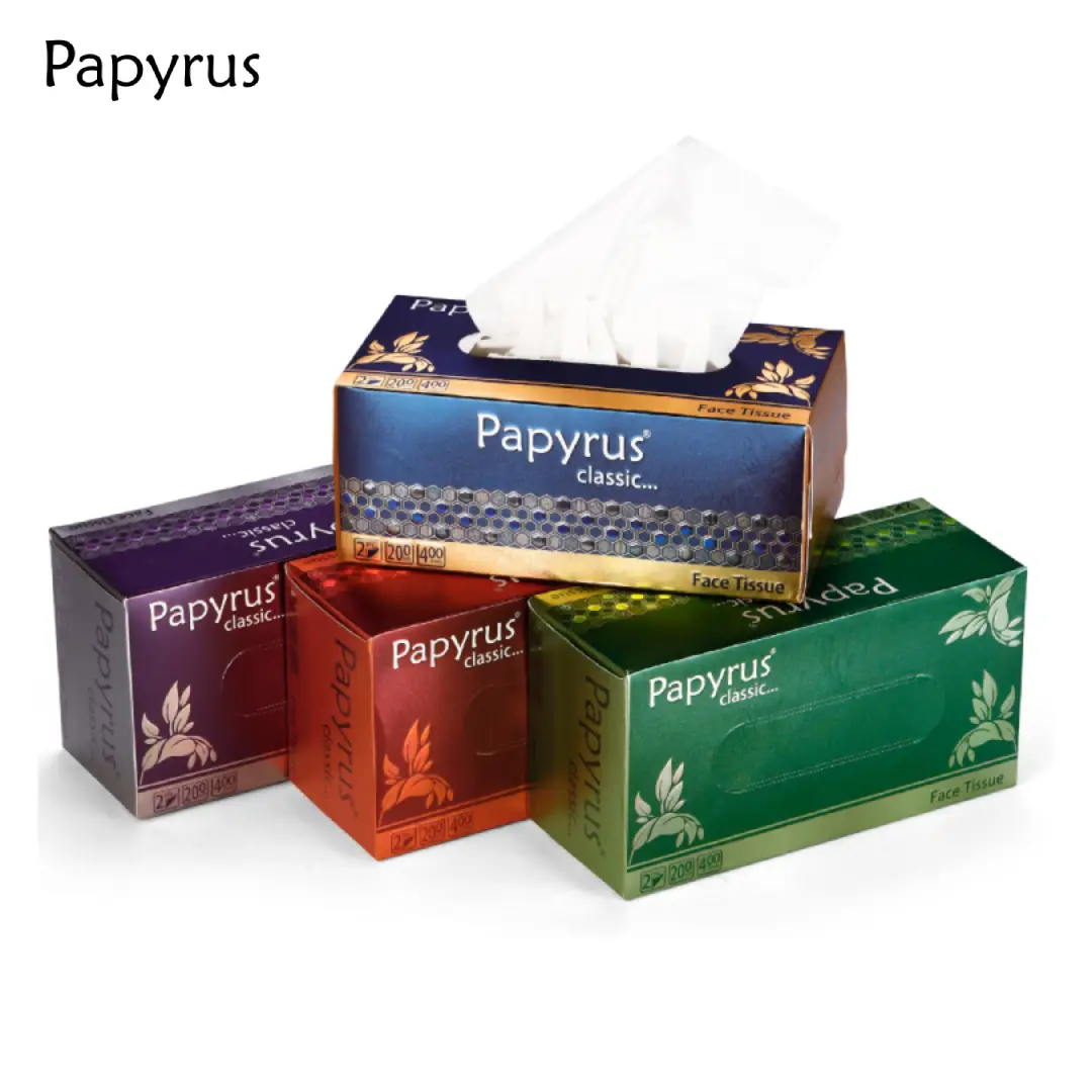 Face Tissue Classic 200pulls
