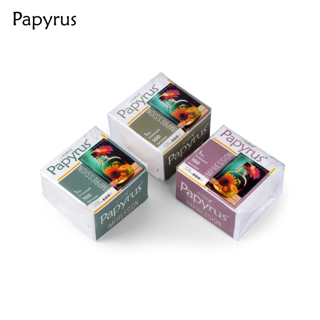 Paper Napkin Pack of 100